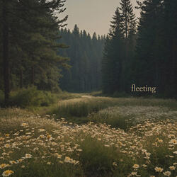 Fleeting