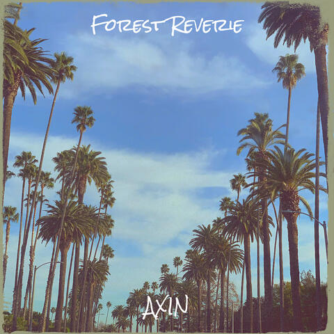 Forest Reverie