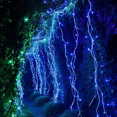 Glitter Vine