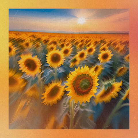 Sunshine