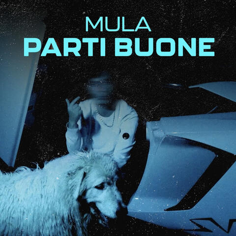 PARTI BUONE