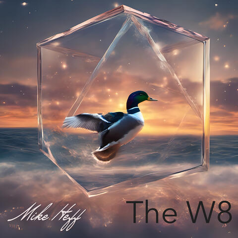 The W8