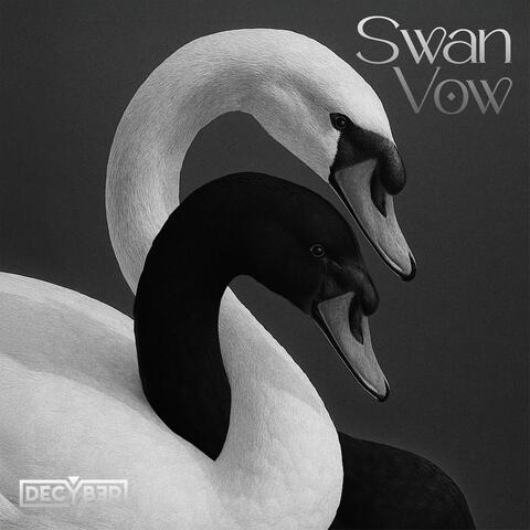 Swan Vow
