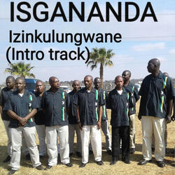 Izinkulungwane (Intro Track)