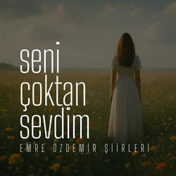 Seni Çoktan Sevdim