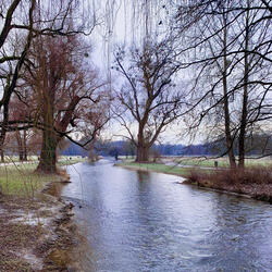 Lilienblätter Blunt