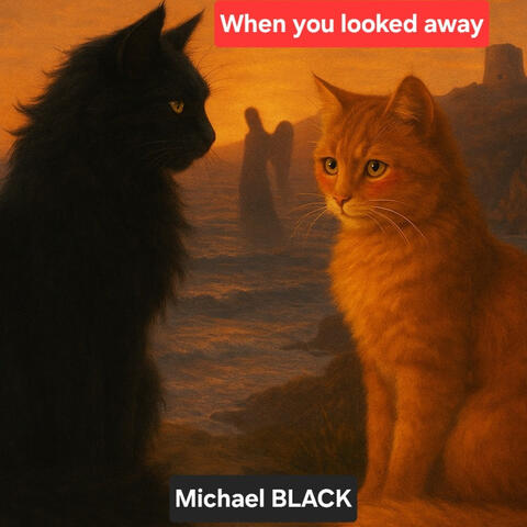 When You Looked Away