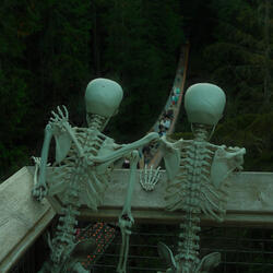 For a Very Long Time