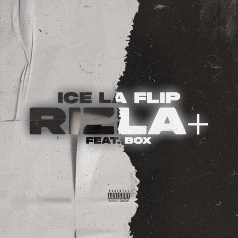 Rizla+