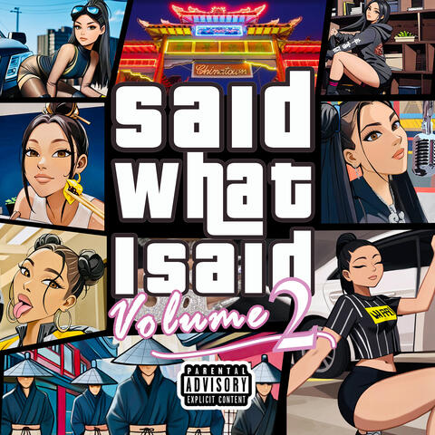 Said What I Said, Vol. 2