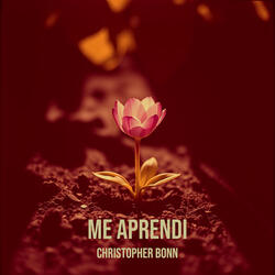 Me Aprendi