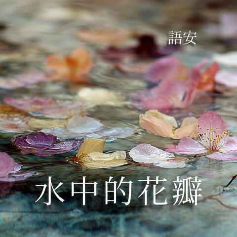 水中的花瓣