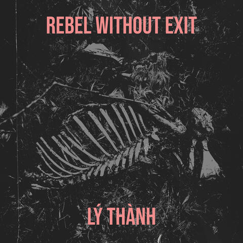 Rebel Without Exit