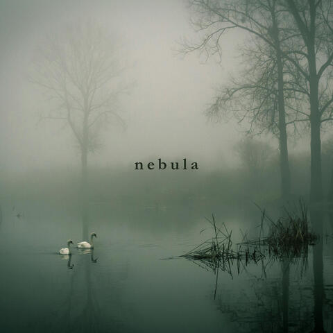 Nebula