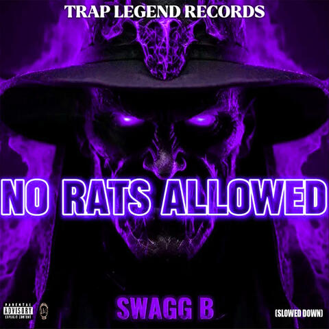 No Rats Allowed (Slowed Down)