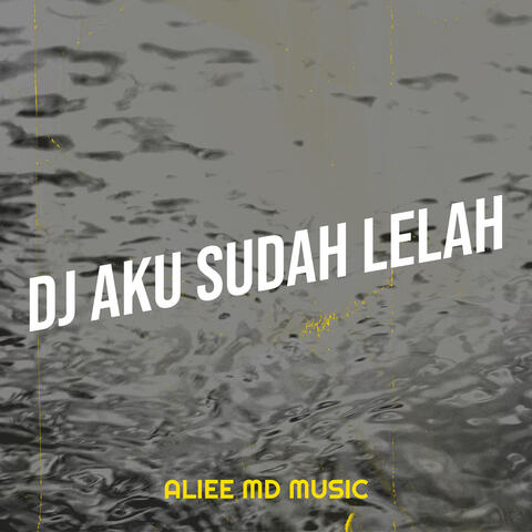 DJ Aku Sudah Lelah