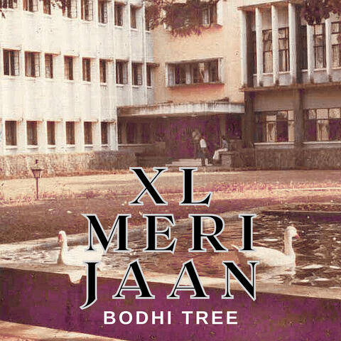 XL Meri Jaan