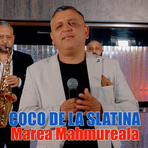 Marea Mahmureala