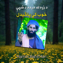 پروت دی په دشته