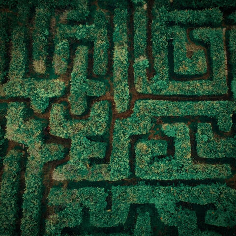 Maze