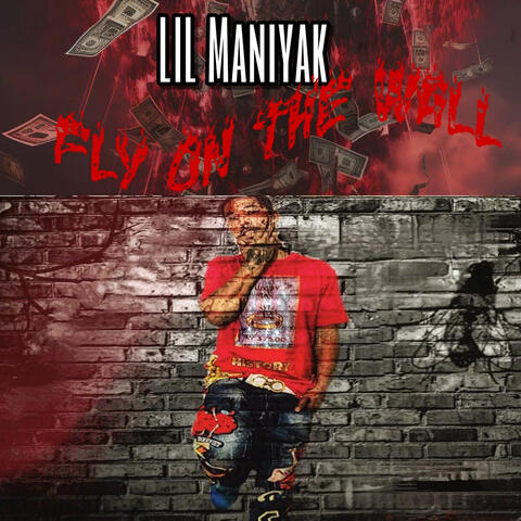 Fly on the Wall