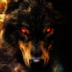 H.Wolf Dream