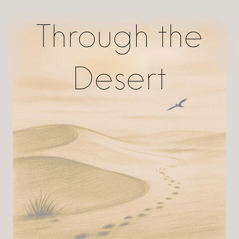 Through the Desert