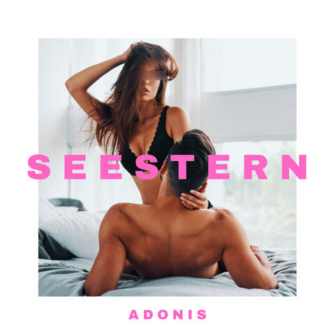 Seestern