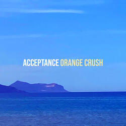 Acceptance