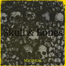 Skull & Bones