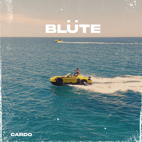Blüte