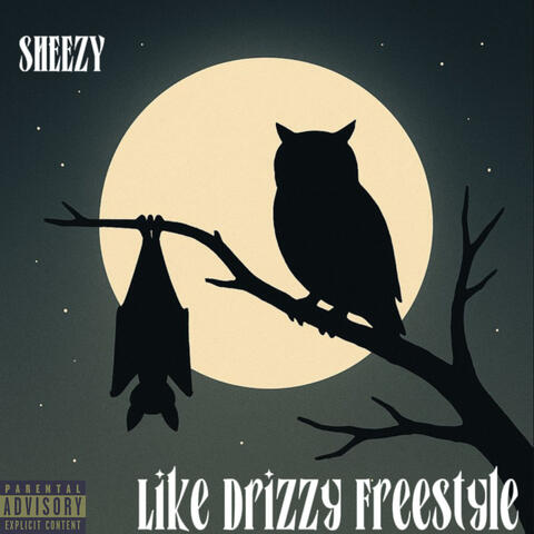 Like Drizzy Freestyle