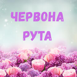 Червона рута