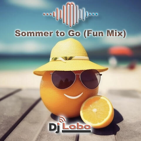 Sommer to Go (Fun Mix)
