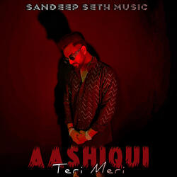 Aashiqui Teri Meri