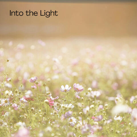 Into the Light