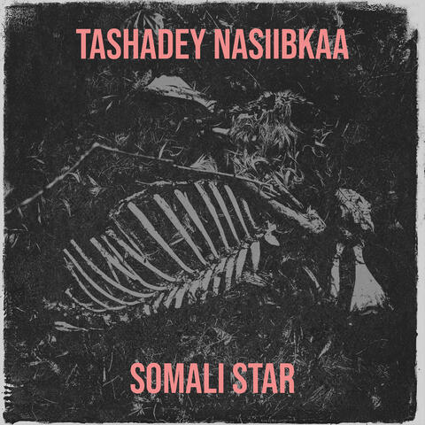 Tashadey Nasiibkaa