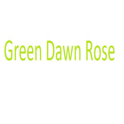 Green Dawn Rose