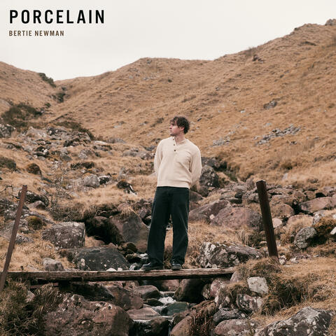 Porcelain