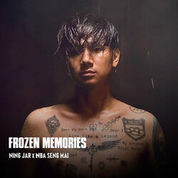 Frozen Memories