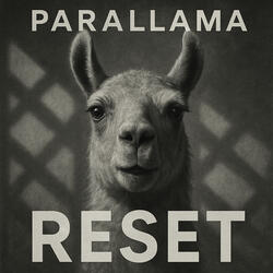 Reset