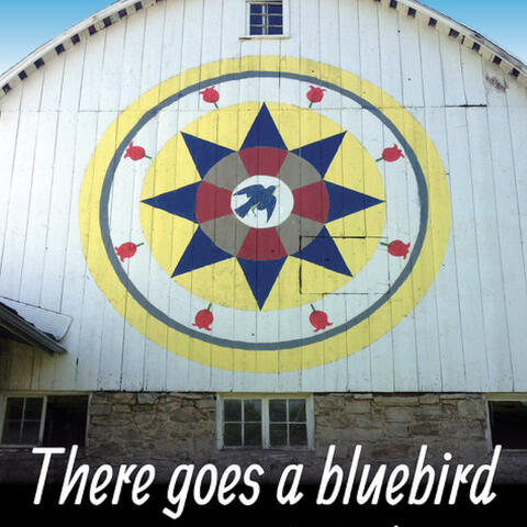 There Goes a Bluebird