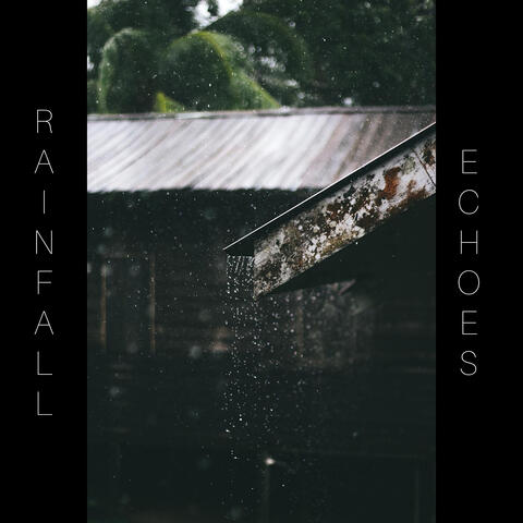 Rainfall Echoes
