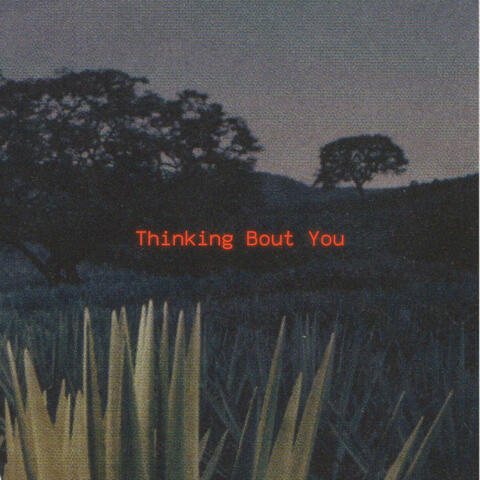 Thinking Bout You
