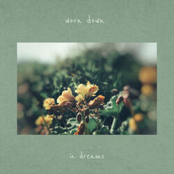 In Dreams