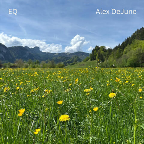 E.Q.