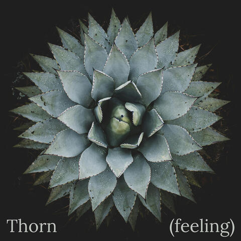 Thorn (Feeling)