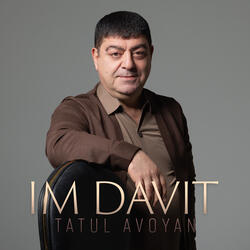 Im Davit