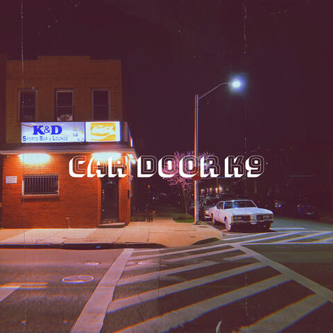 Car Door