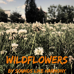 Wildflowers